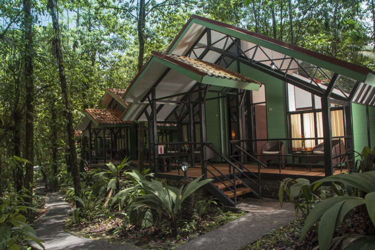Tapirus Lodge photo